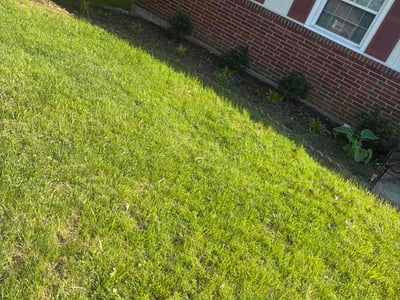 Lawn care service in Louisville, 40291