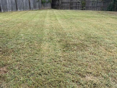 Lawn care service in Calera, 35040