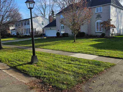 Lawn care service in Buffalo, 14221