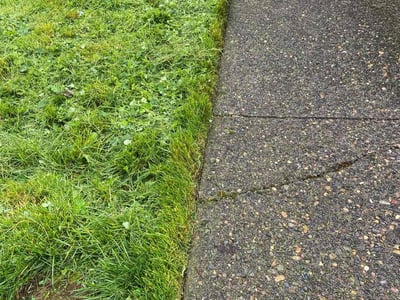 Lawn care service in Beaverton, 97007