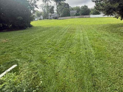 Lawn care service in Delran, 08075