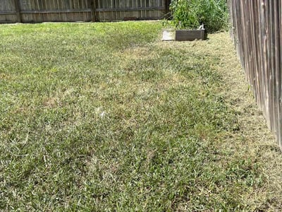 Lawn care service in Temple, 76502