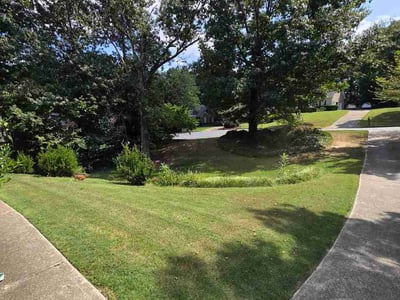 Lawn care service in Kennesaw, 30152