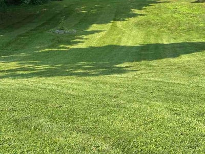 Lawn care service in New Windsor, 12553