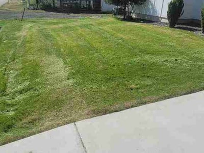 Lawn care service in Spokane Valley, 99016