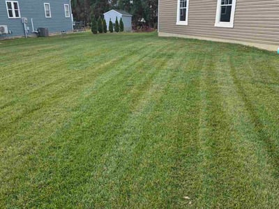 Lawn care service in Erie, 16504
