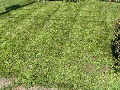 Lawn care service in Hamden, 06517