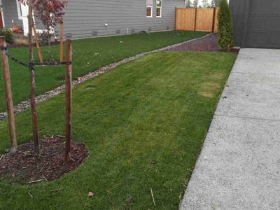 Lawn care service in Graham, 98338