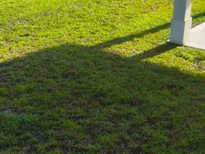 Lawn care service in Bloomingdale, 31302