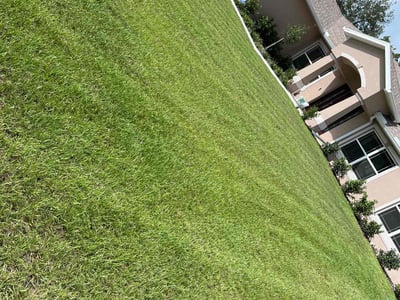 Lawn care service in Brooksville, 34614