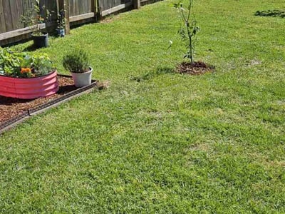 Lawn care service in Chalmette, 70043