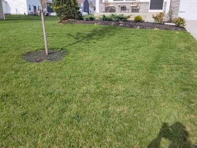 Lawn care service in Grove City, 43123