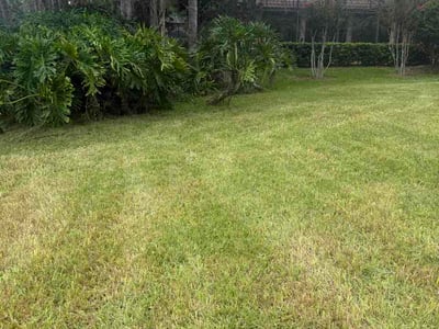 Lawn care service in Lake Mary, 32746
