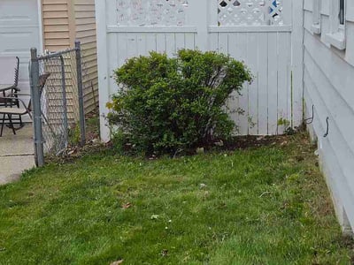 Lawn care service in Port Huron, 48060