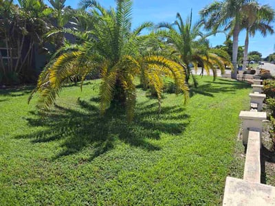 Lawn care service in Bradenton, 34207