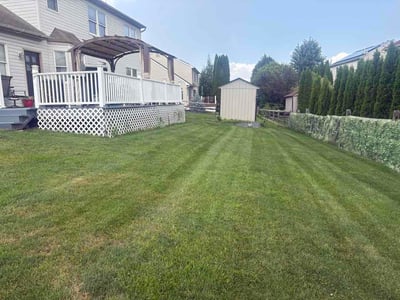 Lawn care service in Easton, 18045