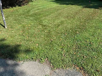Lawn care service in Union, 45322