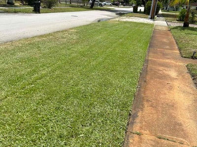 Lawn care service in Fort Lauderdale, 33311