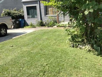 Lawn care service in Atlanta, 30344
