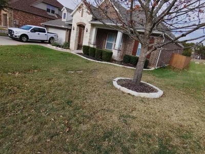 Lawn care service in Leander, 78641
