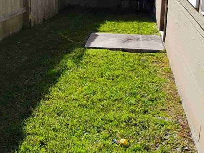 Lawn care service in Katy, 77449
