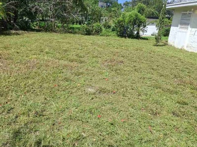 Lawn care service in Winter Park, 32792