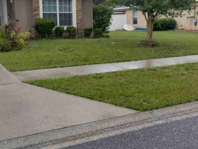 Lawn care service in Tavares, 32778