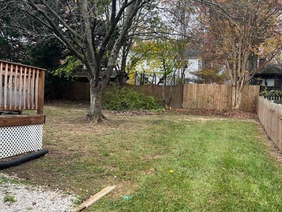 Lawn care service in Fredericksburg, 22407
