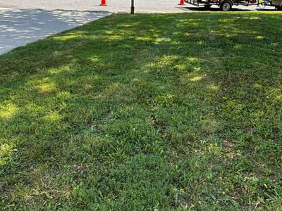 Lawn care service in Charlotte, 28273