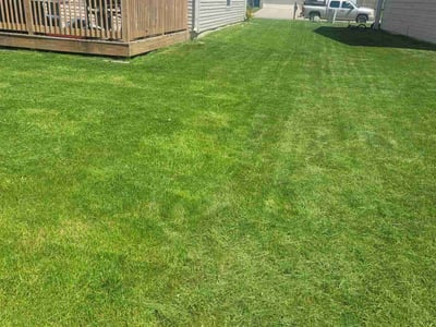 Lawn care service in Indianapolis, 46235