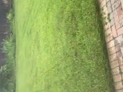 Lawn care service in Houston, 77095