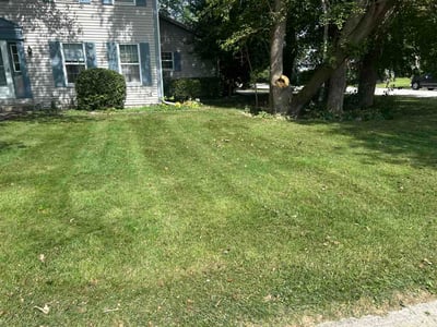 Lawn care service in Sussex, 53089