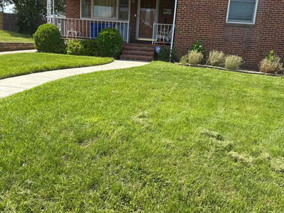 Lawn care service in Rosedale, 21237
