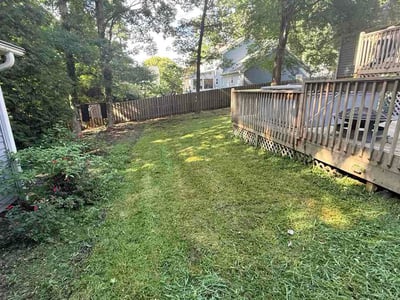 Lawn care service in High Point, 27265