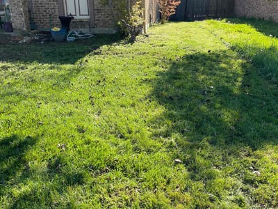 Lawn care service in Garland, 75040