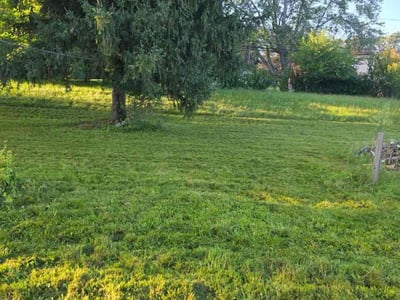 Lawn care service in Rochester, 14625