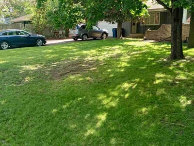 Lawn care service in Fridley, 55432