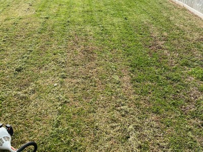 Lawn care service in Rosenberg, 77469