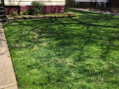 Lawn care service in Cleveland, 44110
