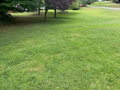 Lawn care service in Exton, 19341