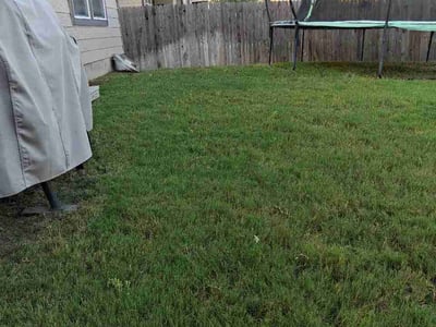 Lawn care service in San Antonio, 78245