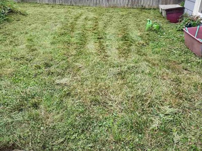 Lawn care service in Des Moines, 50310
