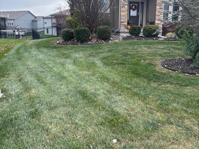 Lawn care service in Lee's Summit, 64082