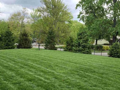 Lawn care service in Cincinnati, 45243