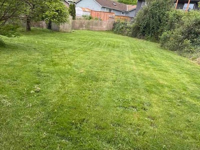 Lawn care service in Everett, 98208