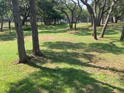 Lawn care service in Fair Oaks Ranch, 78015
