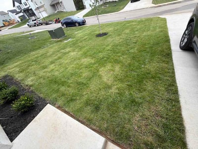 Lawn care service in Louisville, 40229