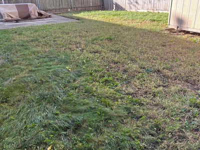 Lawn care service in Providence, 02904