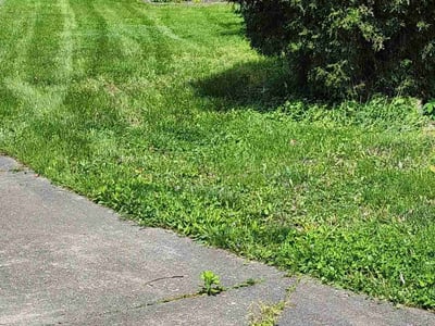 Lawn care service in Perrysburg, 43551