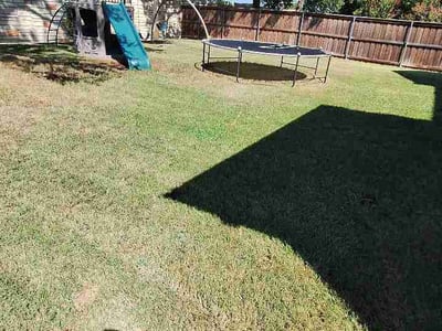 Lawn care service in Denton, 76210